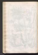 Seite 106