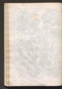 Seite 115