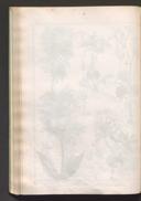 Seite 118