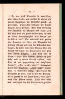 Seite 43