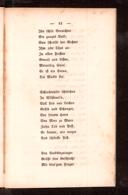 Seite 45