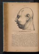 Seite 432