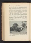Seite 309